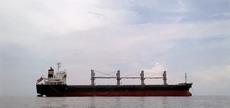 WYUNA Bulk Carrier IMO 9550448 photo 10