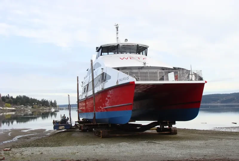 TAURUS Passenger Ship IMO 9550773 photo 7