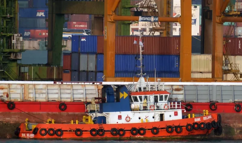 SIAK SELAMAT General Cargo IMO 9550888