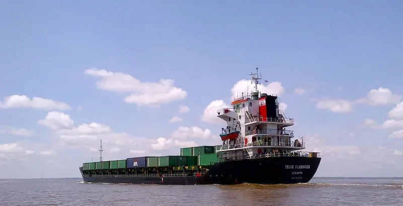 TELUK FLAMINGGO Container Ship IMO 9551088 photo 3