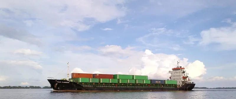 TELUK FLAMINGGO Container Ship IMO 9551088 photo 6