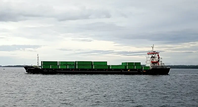 TELUK FLAMINGGO Container Ship IMO 9551088 photo 8