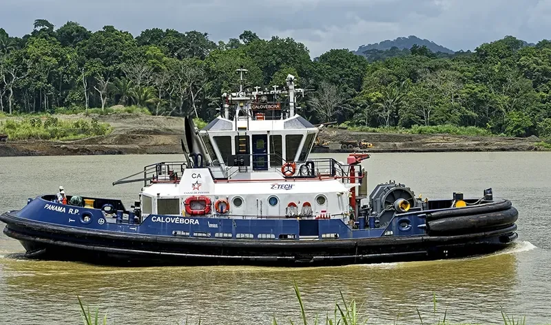 CALOVEBORA General Cargo IMO 9551533 photo 4