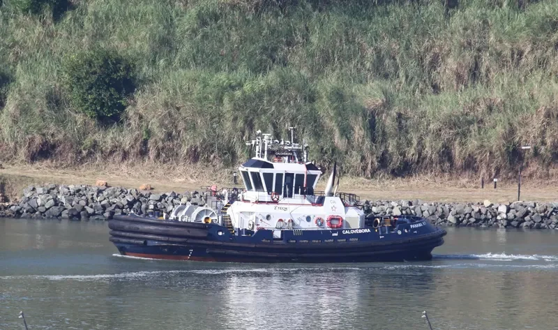 CALOVEBORA General Cargo IMO 9551533 photo 6