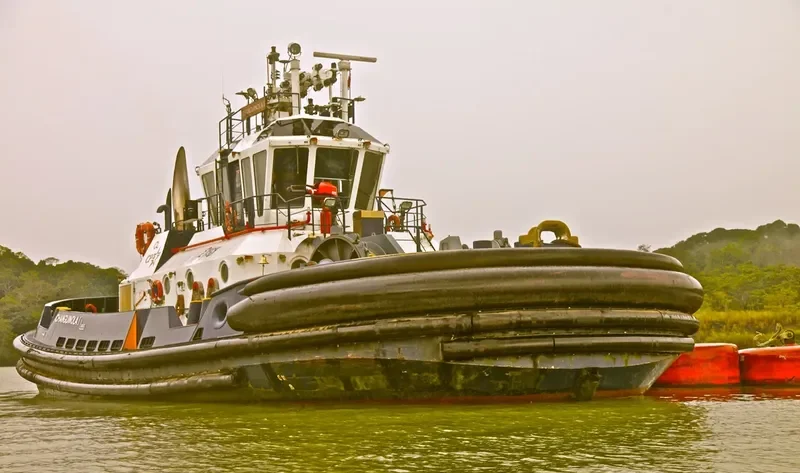CHANGUINOLA I General Cargo IMO 9551545 photo 10