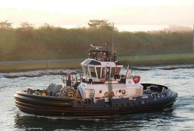 TERIBE General Cargo IMO 9551569 photo 2