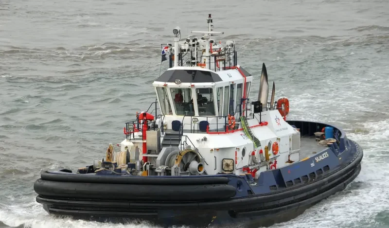 SAJALICES General Cargo IMO 9551571 photo 5