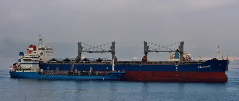 MAUD Bulk Carrier IMO 9551674