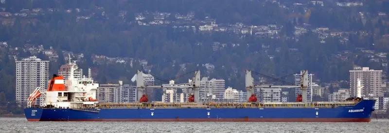 MAUD Bulk Carrier IMO 9551674 photo 6