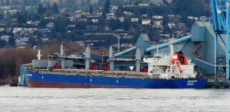 MAUD Bulk Carrier IMO 9551674 photo 7
