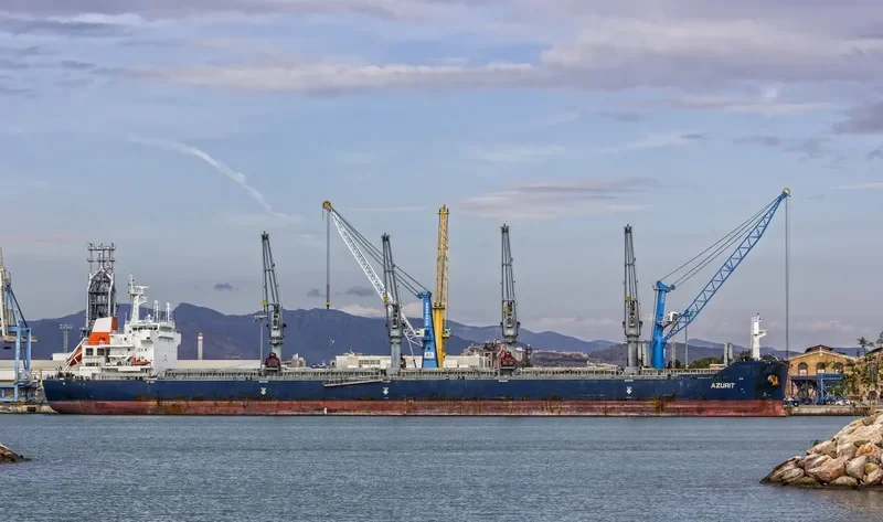 EASTERN AZALEA Bulk Carrier IMO 9551703