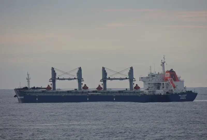 EASTERN AZALEA Bulk Carrier IMO 9551703 photo 4