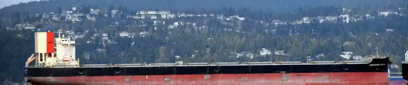 CENTAURUS DREAM Bulk Carrier IMO 9551715 photo 7