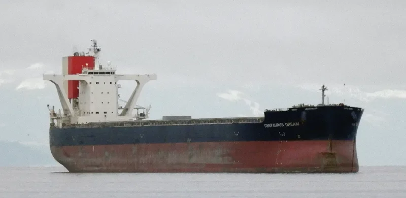 CENTAURUS DREAM Bulk Carrier IMO 9551715 photo 8