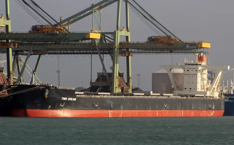 JAG ALAIA Bulk Carrier IMO 9551727 photo 3