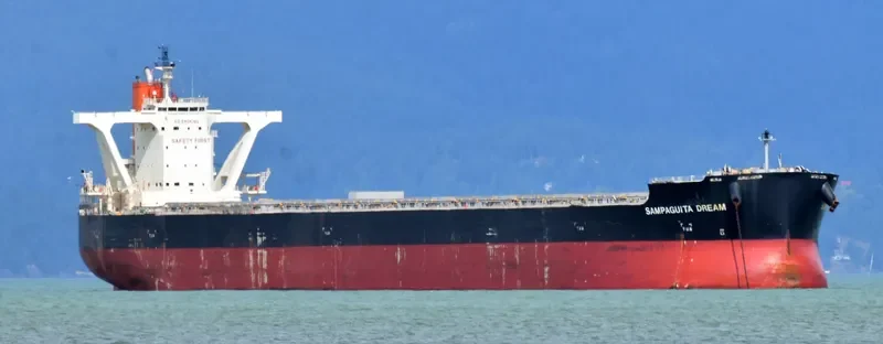 JAG ALAIA Bulk Carrier IMO 9551727 photo 4