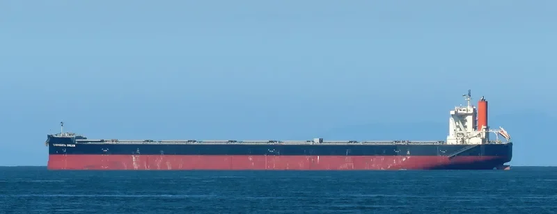 JAG ALAIA Bulk Carrier IMO 9551727 photo 9