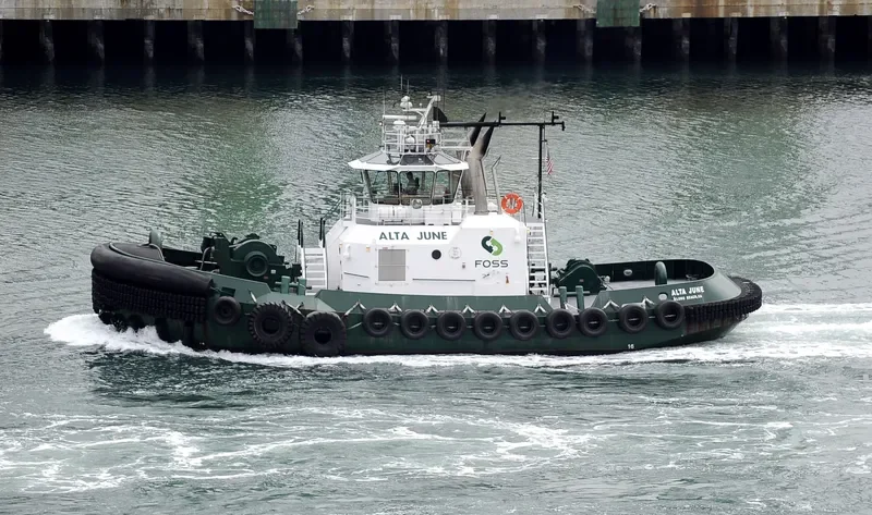 ALTA JUNE General Cargo IMO 9552290 photo 3