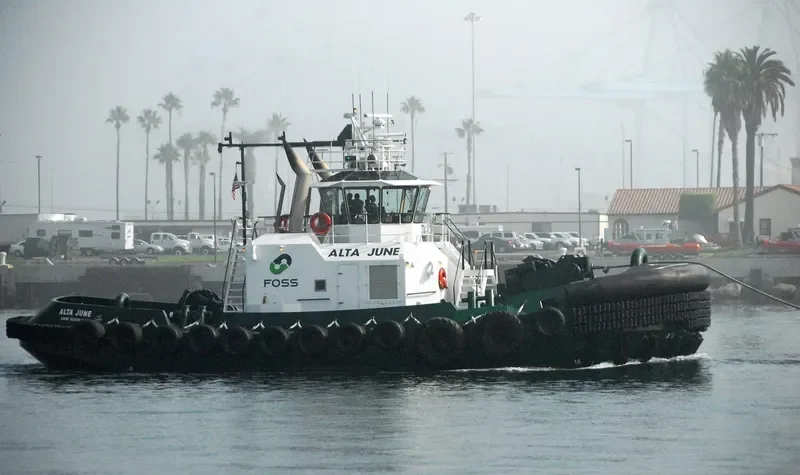 ALTA JUNE General Cargo IMO 9552290 photo 6