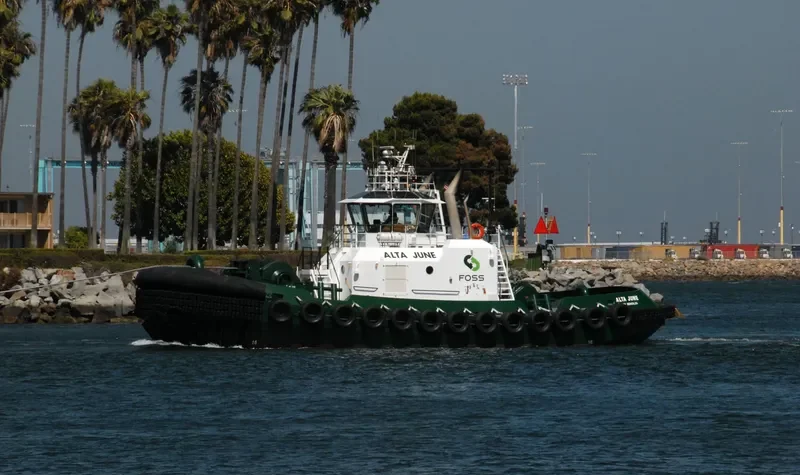 ALTA JUNE General Cargo IMO 9552290 photo 8