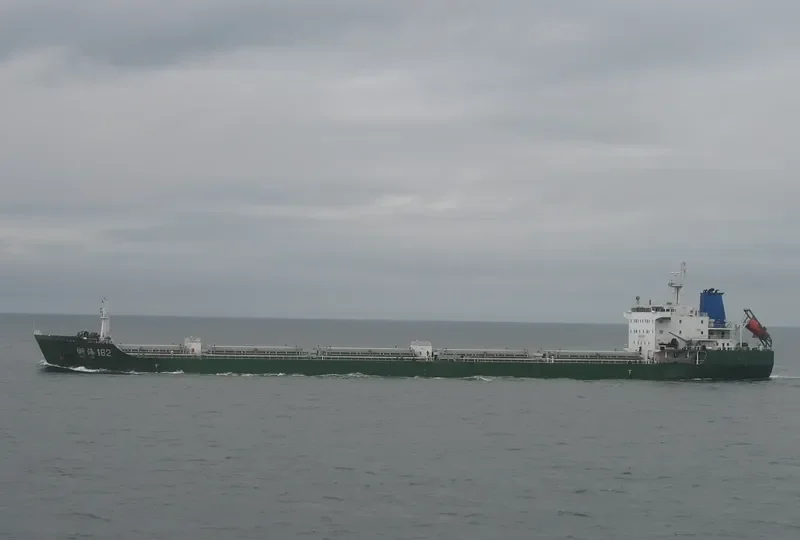 DA LI JI Bulk Carrier IMO 9552305 photo 4