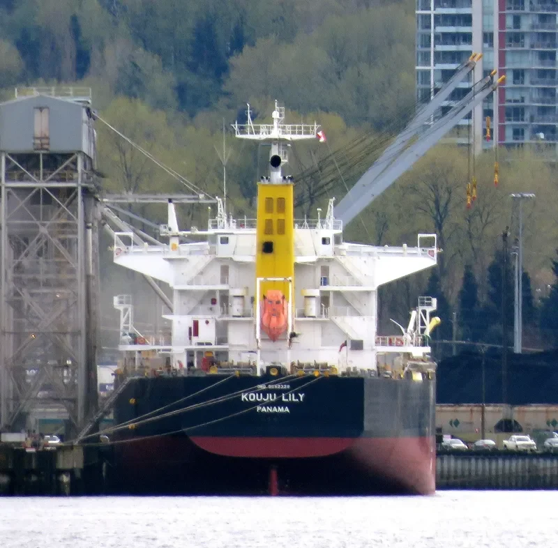 KOUJU LILY Bulk Carrier IMO 9552329 photo 2