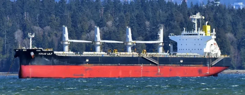 KOUJU LILY Bulk Carrier IMO 9552329 photo 4