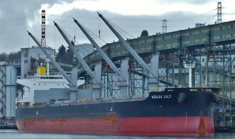 KOUJU LILY Bulk Carrier IMO 9552329 photo 8