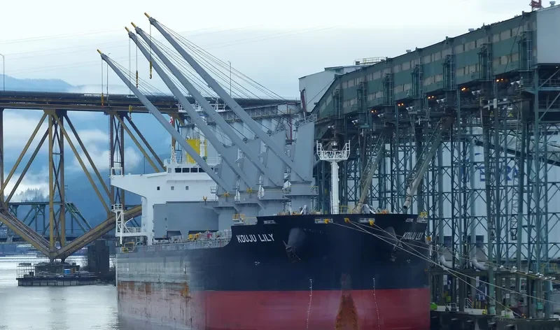 KOUJU LILY Bulk Carrier IMO 9552329 photo 9