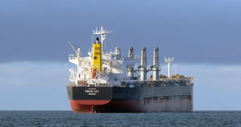 KOUJU LILY Bulk Carrier IMO 9552329 photo 10