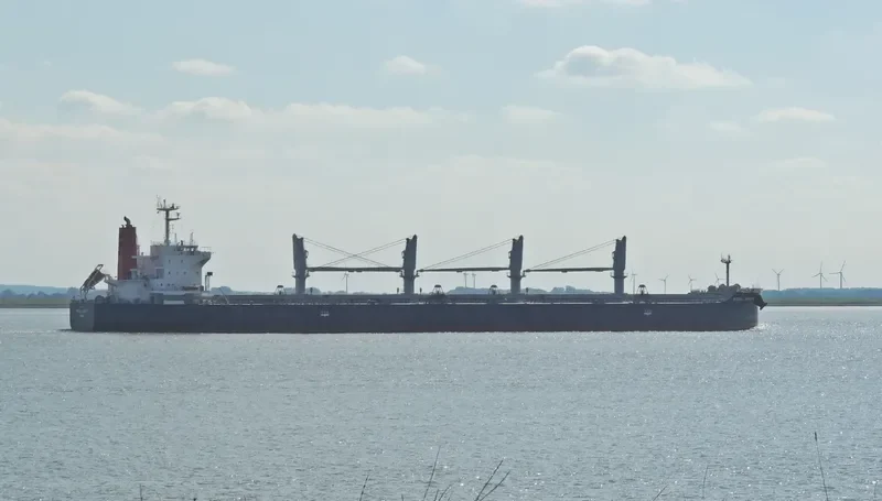 ROYAL KNIGHT Bulk Carrier IMO 9552355 photo 4
