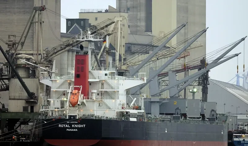 ROYAL KNIGHT Bulk Carrier IMO 9552355 photo 6