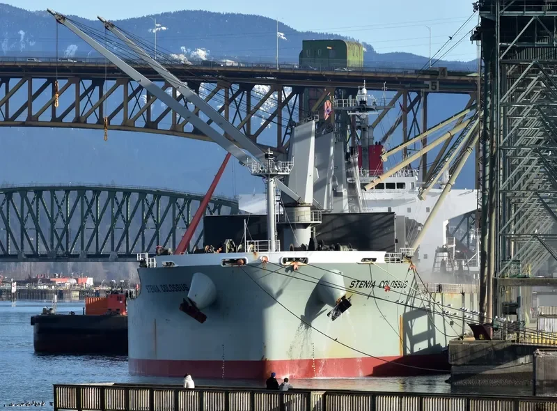 STENIA COLOSSUS Bulk Carrier IMO 9552379 photo 4