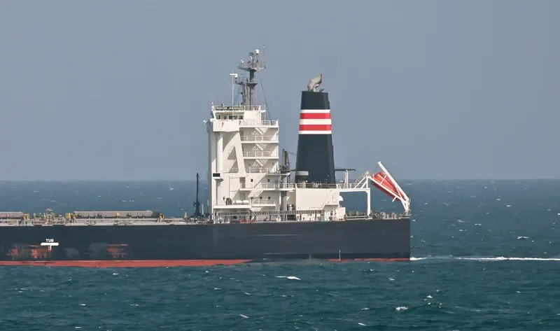 FRONTIER JACARANDA Bulk Carrier IMO 9552393 photo 10