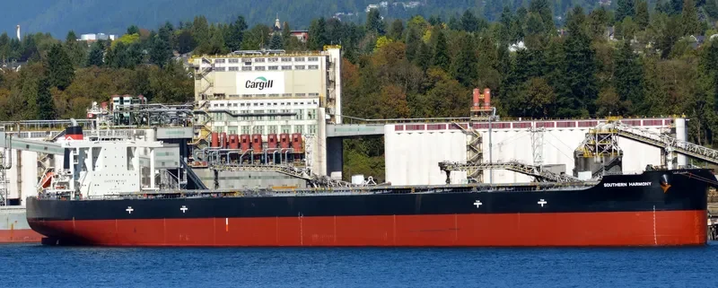 SOUTHERN HARMONY Bulk Carrier IMO 9552422 photo 8