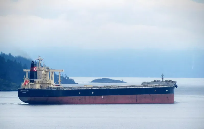 KASHIMA MARU Bulk Carrier IMO 9552434 photo 7