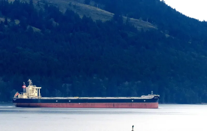 KASHIMA MARU Bulk Carrier IMO 9552434 photo 8
