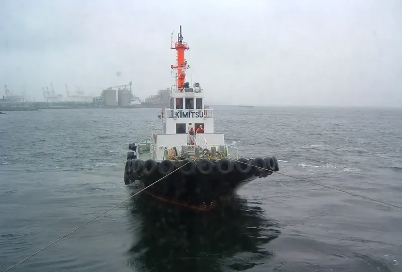 JYOGWUMARU General Cargo IMO 9552484 photo 2