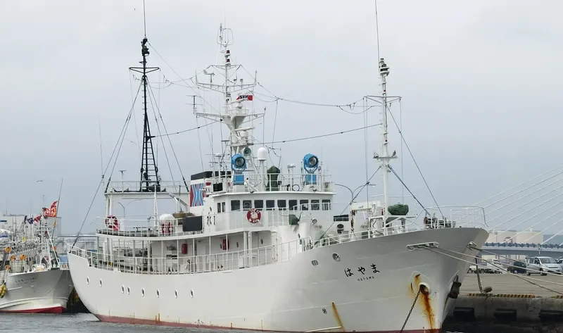 HAYAMA General Cargo IMO 9552513
