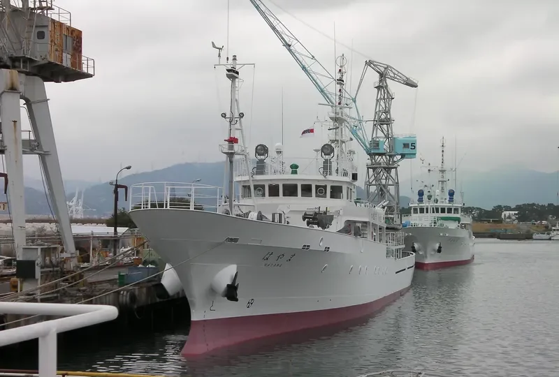 HAYAMA General Cargo IMO 9552513 photo 2