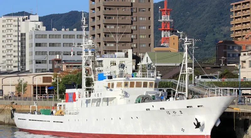 HAYAMA General Cargo IMO 9552513 photo 4