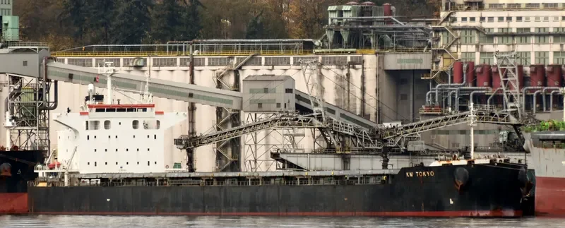 FIDELITY Bulk Carrier IMO 9552812 photo 2