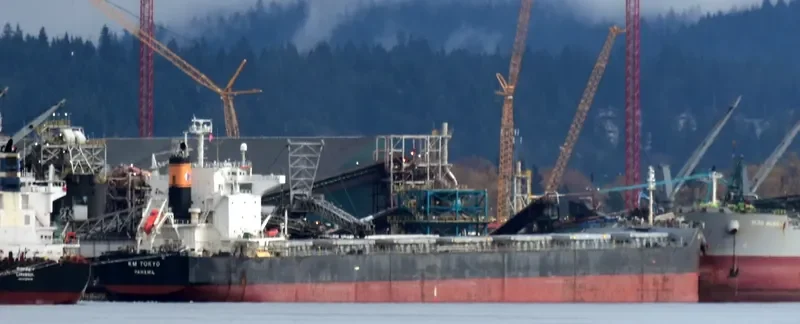 FIDELITY Bulk Carrier IMO 9552812 photo 3