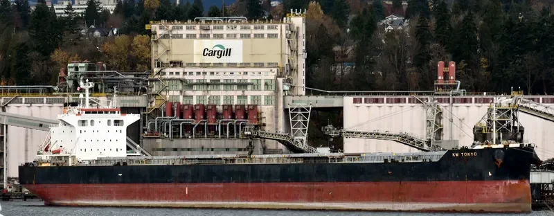 FIDELITY Bulk Carrier IMO 9552812 photo 5