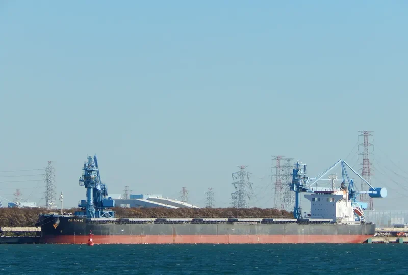 FIDELITY Bulk Carrier IMO 9552812 photo 6