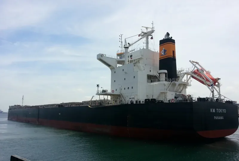 FIDELITY Bulk Carrier IMO 9552812 photo 7