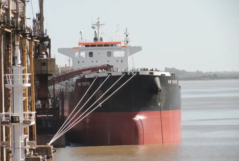 FIDELITY Bulk Carrier IMO 9552812 photo 8
