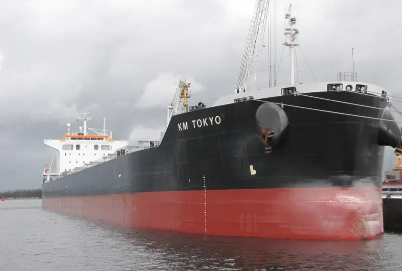 FIDELITY Bulk Carrier IMO 9552812 photo 9