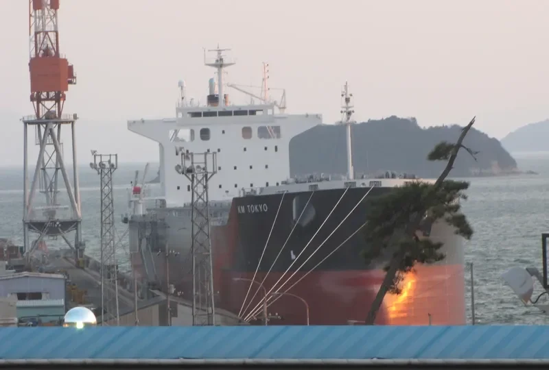 FIDELITY Bulk Carrier IMO 9552812 photo 10