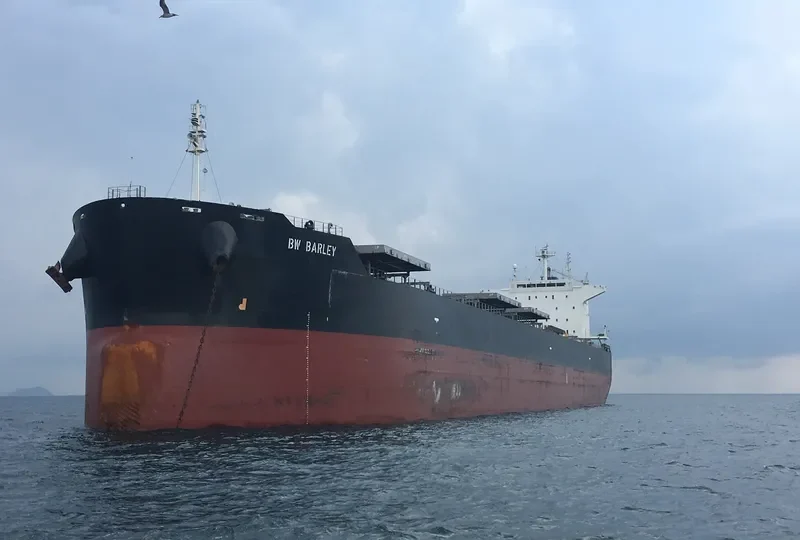 ALLIANCE Bulk Carrier IMO 9552824 photo 2